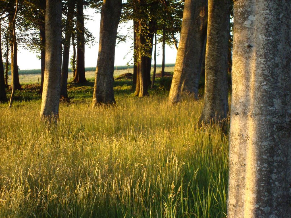 Saebyholms Gard Bed & Breakfast Laholm Eksteriør bilde